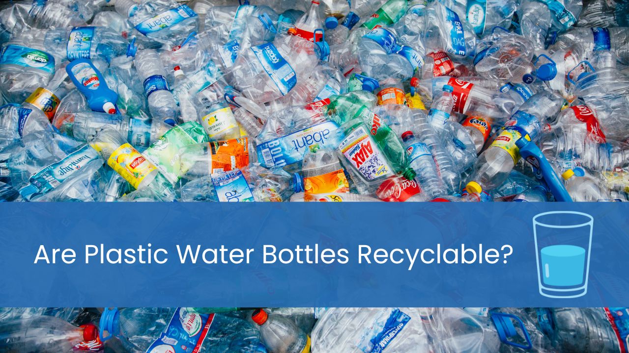 are plastic water bottles recyclable