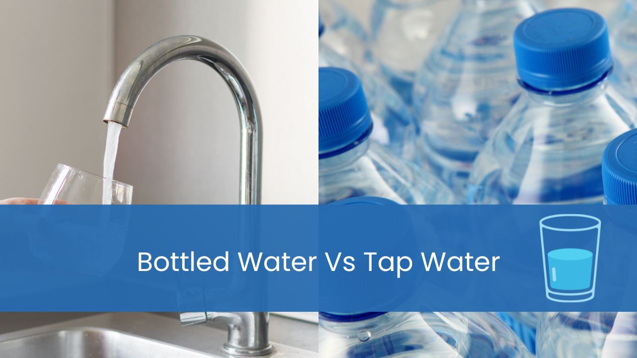 bottled water vs tap water