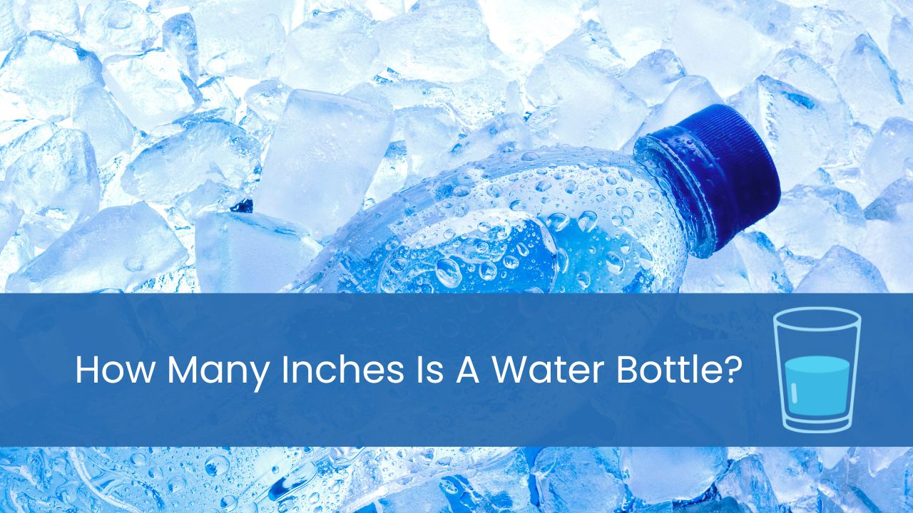 how many inches is a water bottle