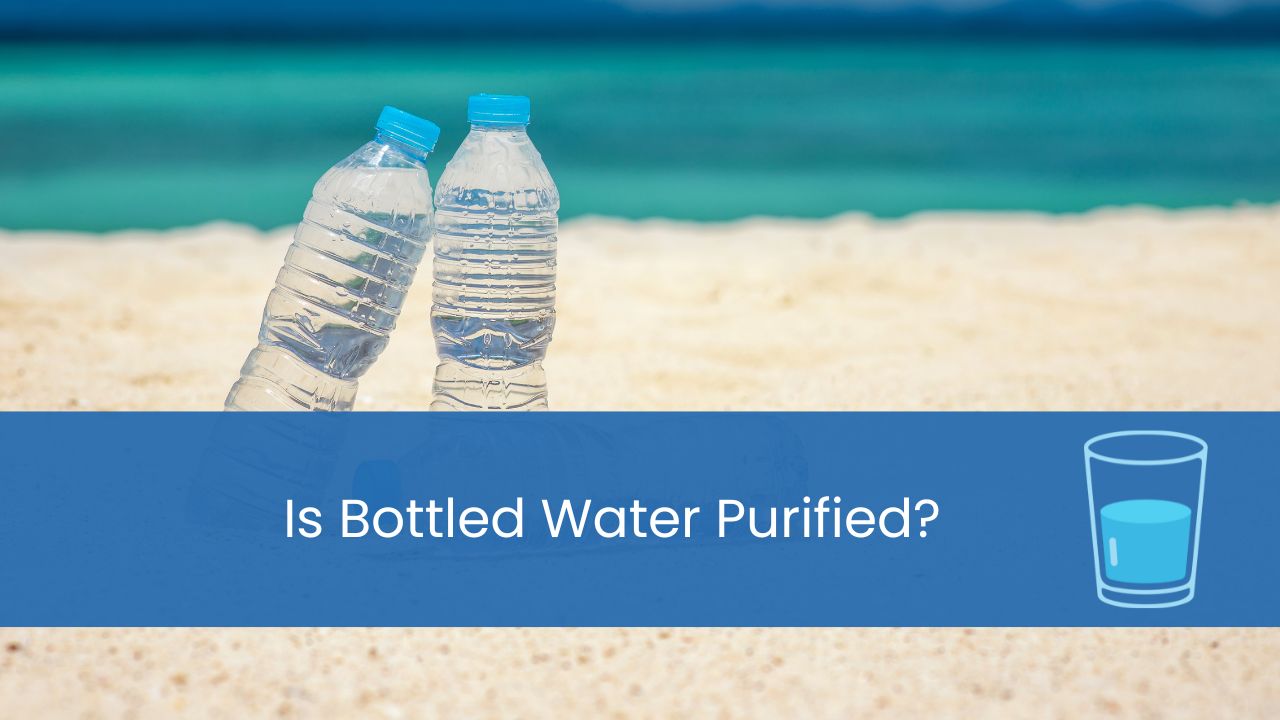 is bottled water purified
